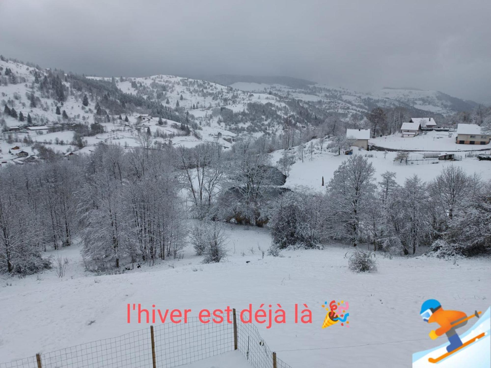 Les Chalets Bambi & Jacuzzi Privatif La Bresse Room photo